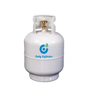 1kg 3 Kg 5 Kg 9kg 11kg Mini Tsis Sib Ceg Hydrogen Lpg Roj Kheej Nrog Qhov Cub